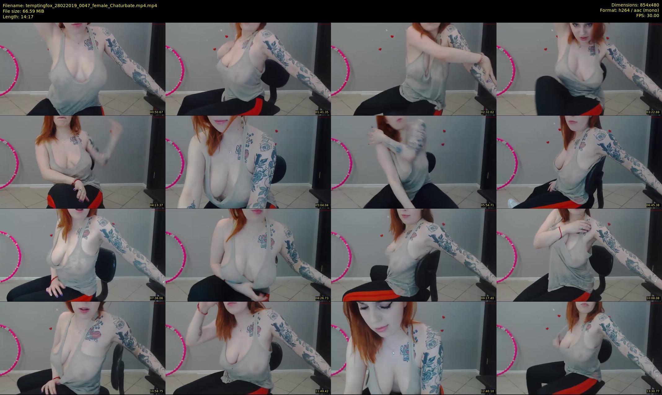 temptingfox — 15 minute Chaturbate female cam show recording, 480p, Feb 28, 2019