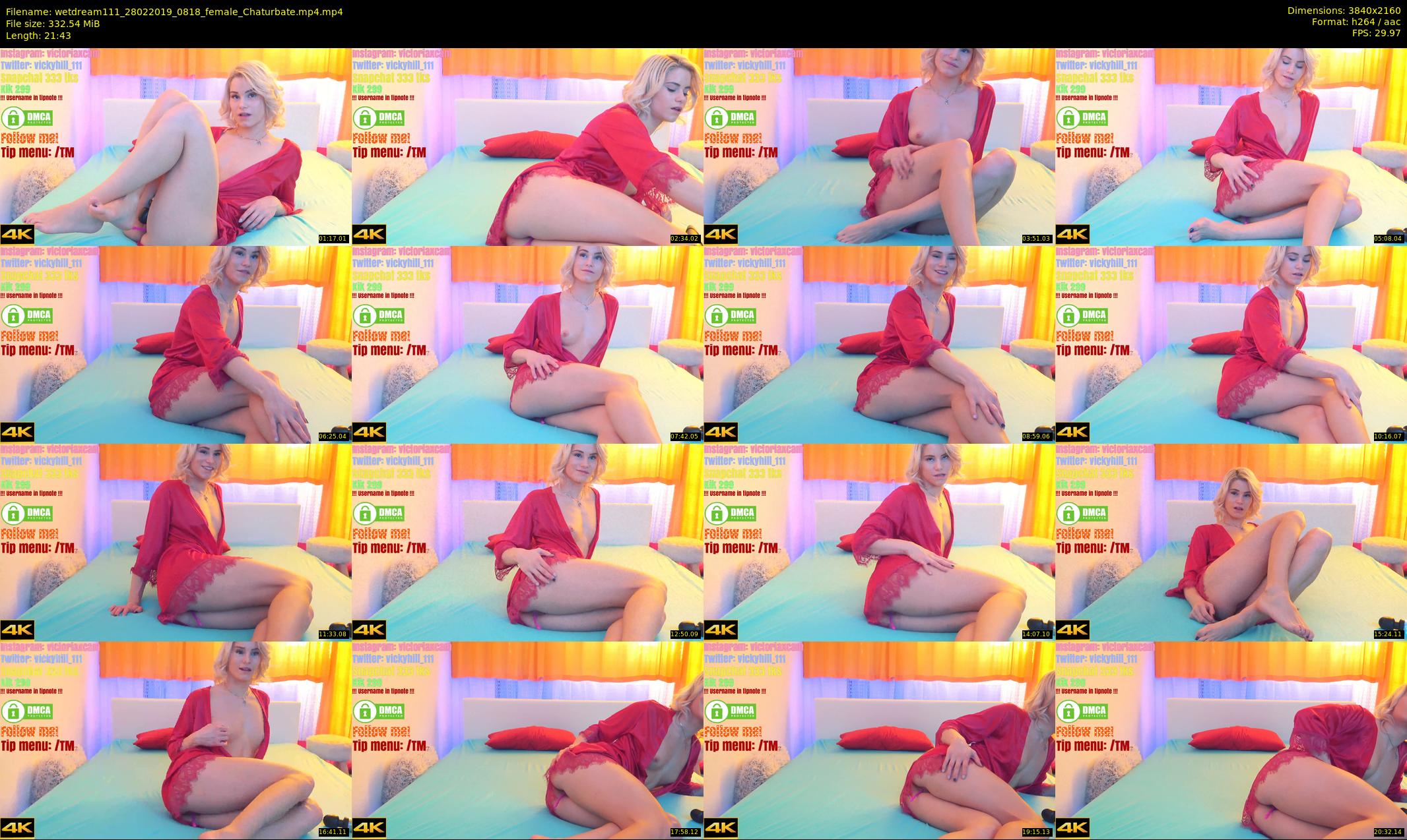 wetdream111 — 22 minute Chaturbate couple cam show recording, 4K, Feb 28, 2019