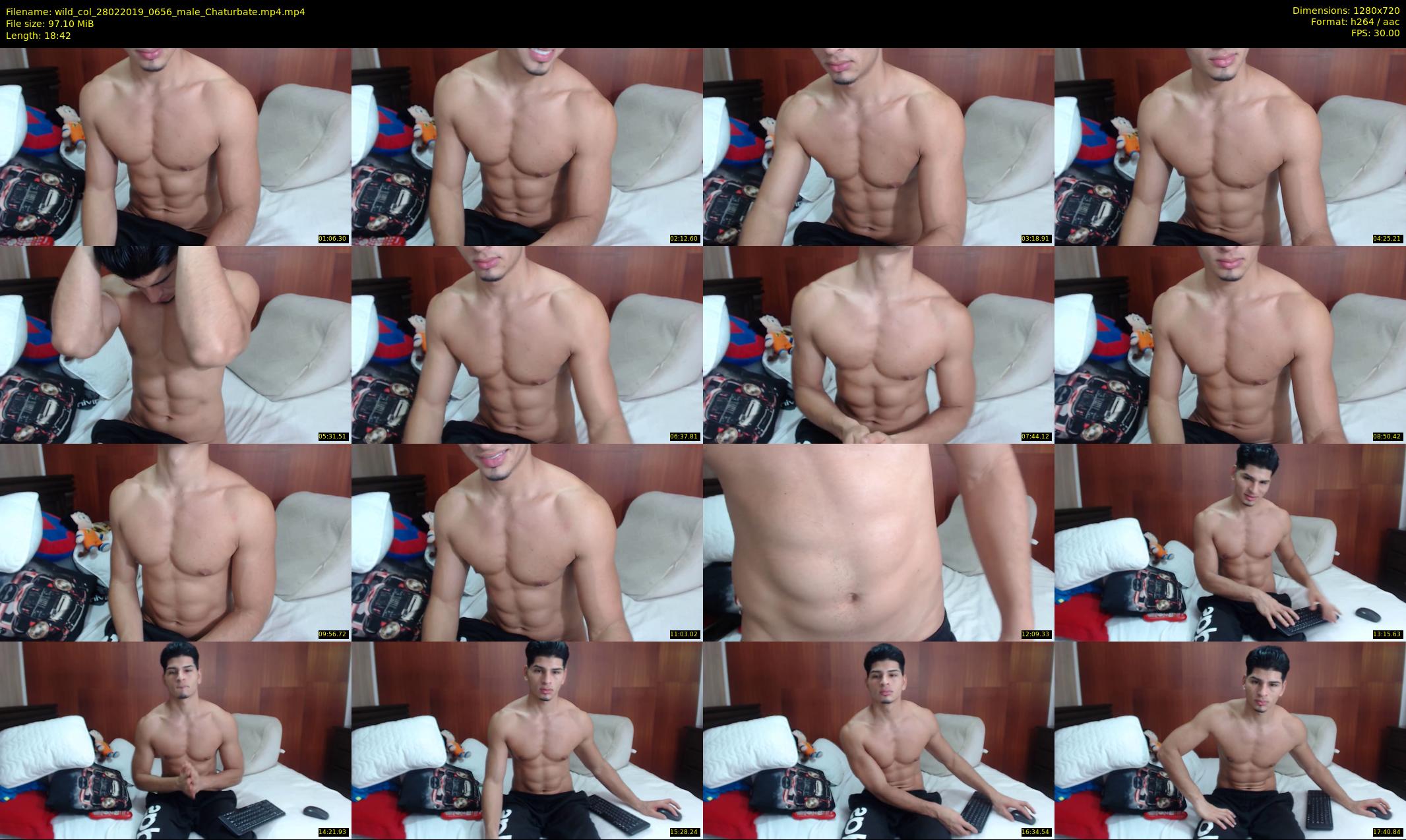 wild_col — 19 minute Chaturbate male cam show recording, 720p, Feb 28, 2019