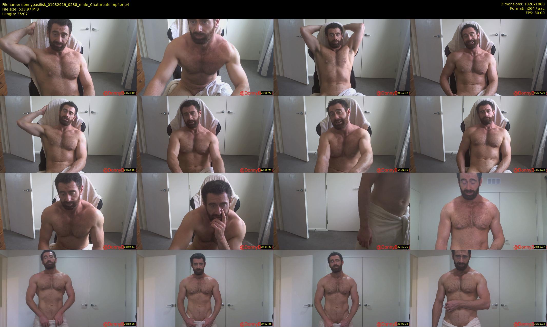 donnybasilisk — 36 minute Chaturbate male cam show recording, 1080p, Mar 1, 2019