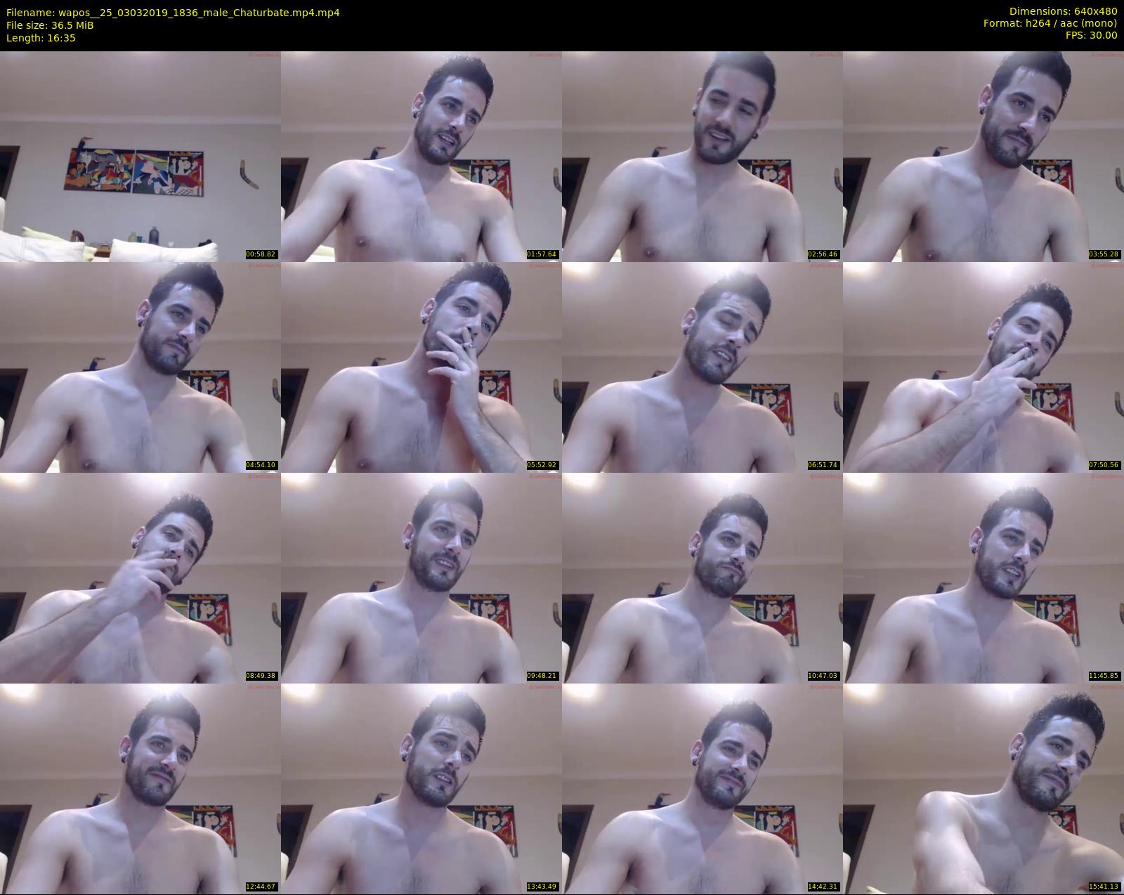 wapos__25 — 17 minute Chaturbate male cam show recording, 480p, Mar 3, 2019