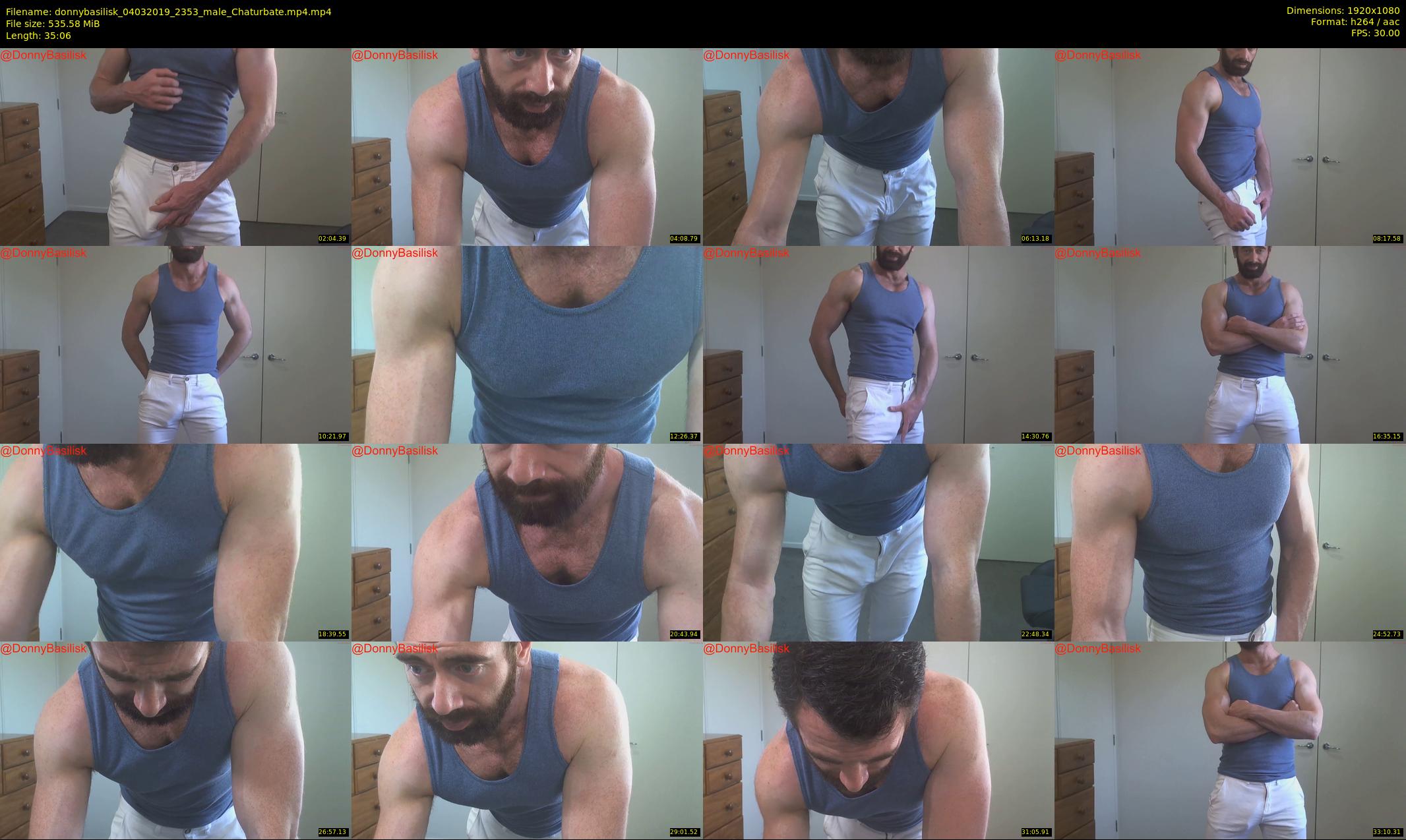 donnybasilisk — 36 minute Chaturbate male cam show recording, 1080p, Mar 4, 2019