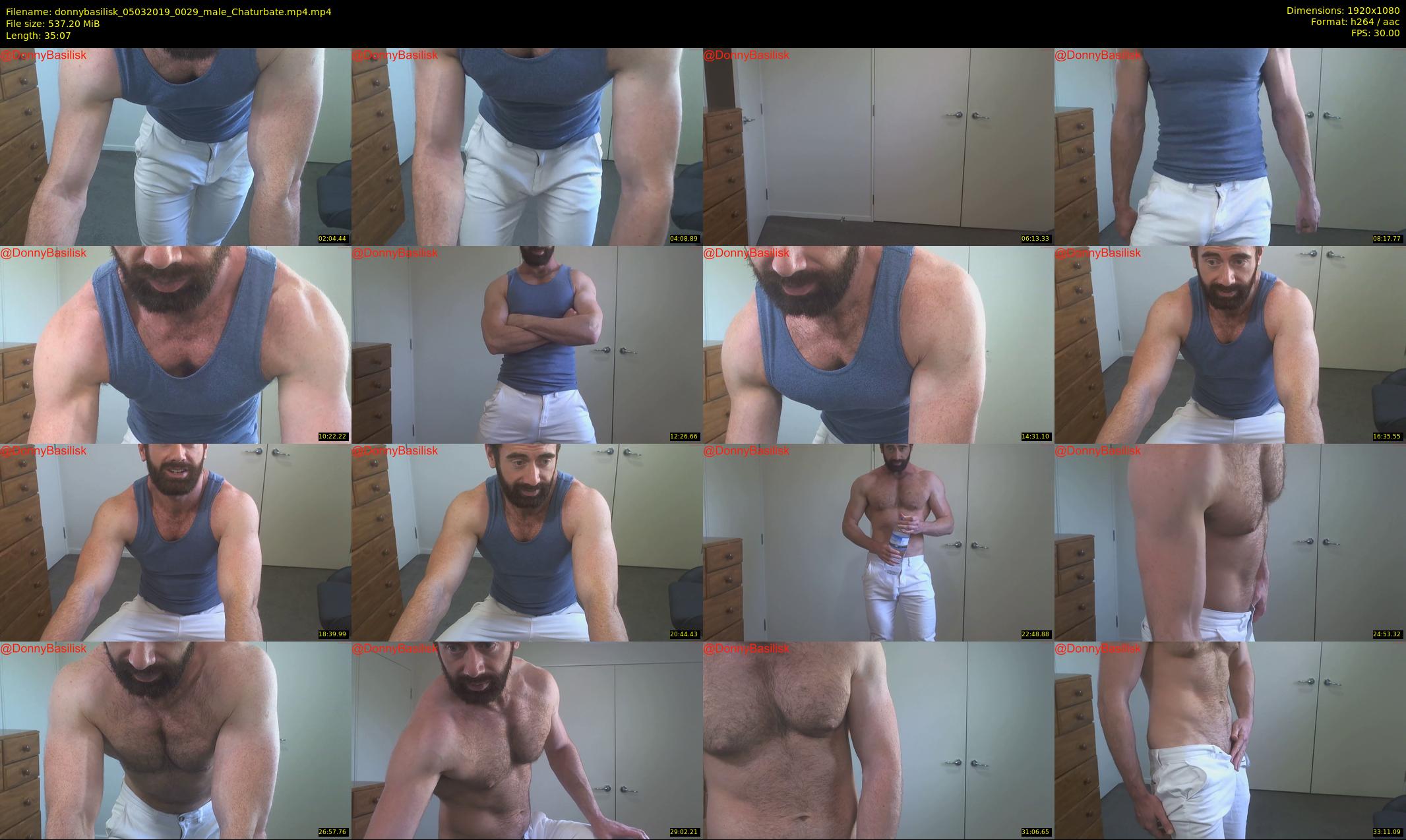 donnybasilisk — 36 minute Chaturbate male cam show recording, 1080p, Mar 5, 2019