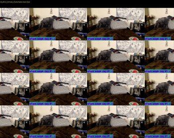 pr3ttyp1nkpussy — 29 minute Chaturbate couple cam show recording, 720p, Mar 4, 2019