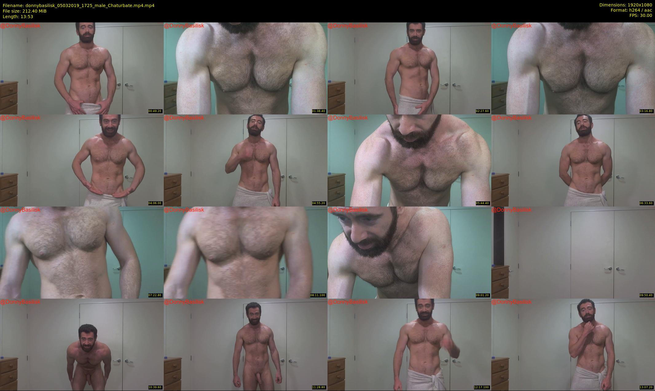 donnybasilisk — 14 minute Chaturbate male cam show recording, 1080p, Mar 5, 2019