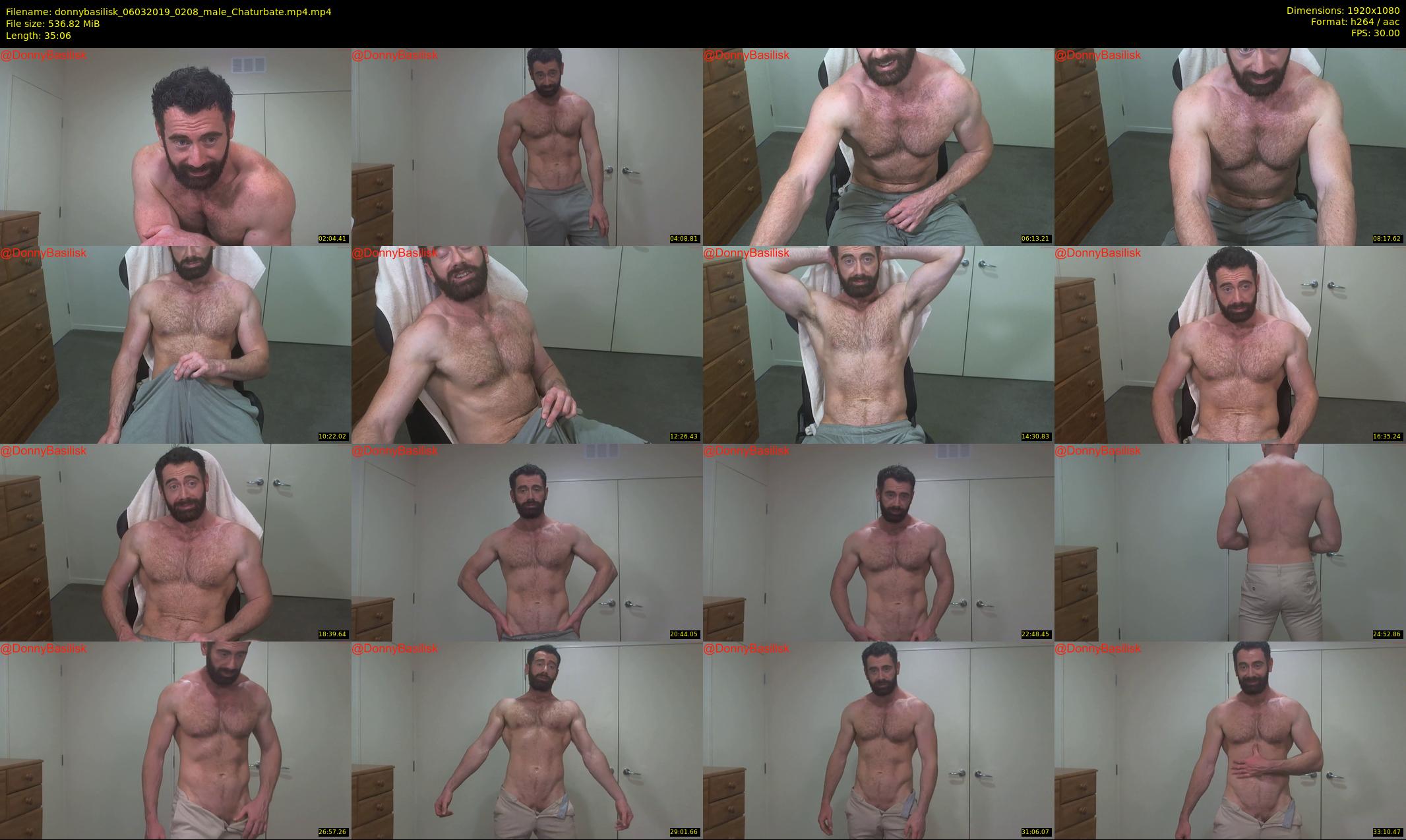 donnybasilisk — 36 minute Chaturbate male cam show recording, 1080p, Mar 6, 2019