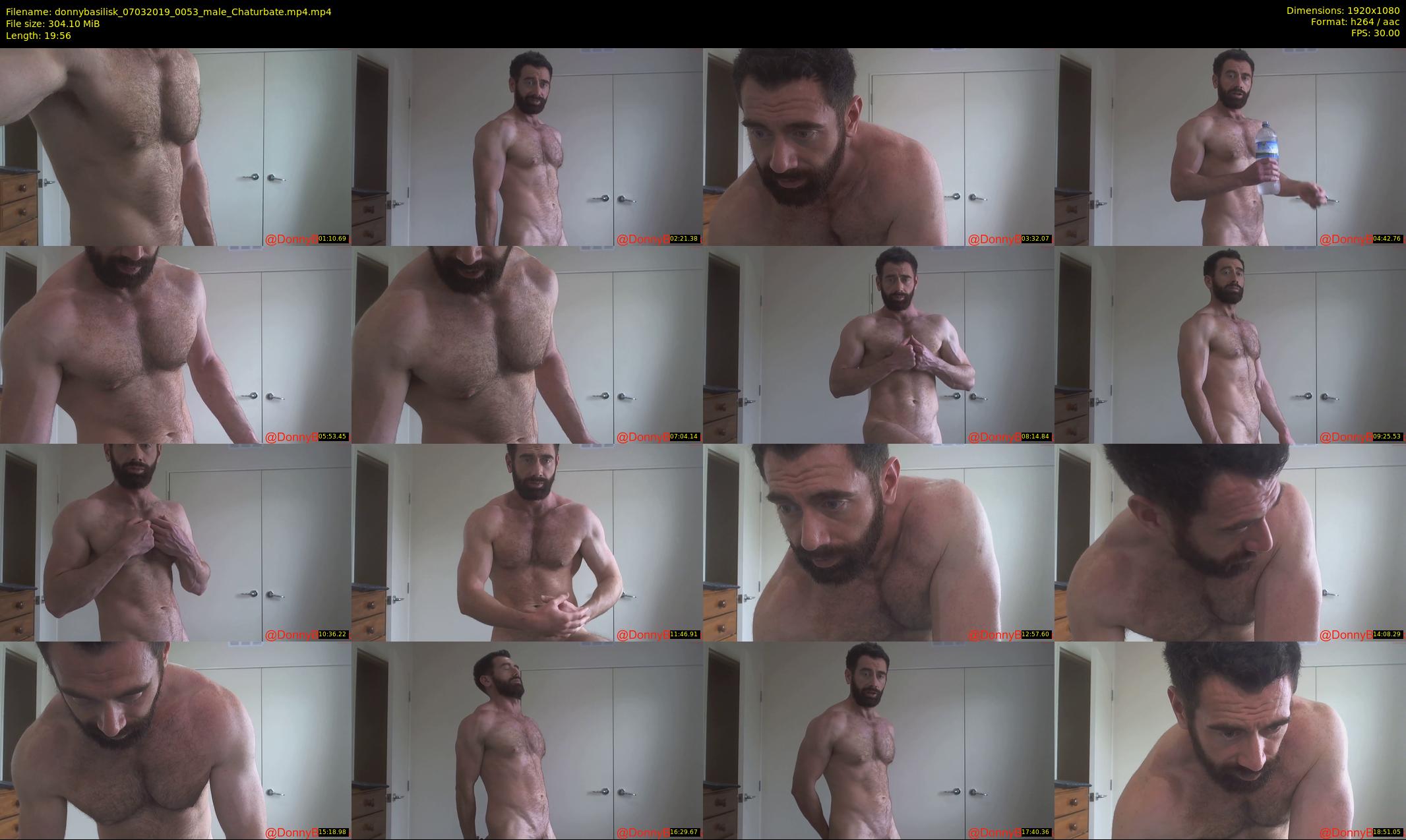 donnybasilisk — 20 minute Chaturbate male cam show recording, 1080p, Mar 7, 2019