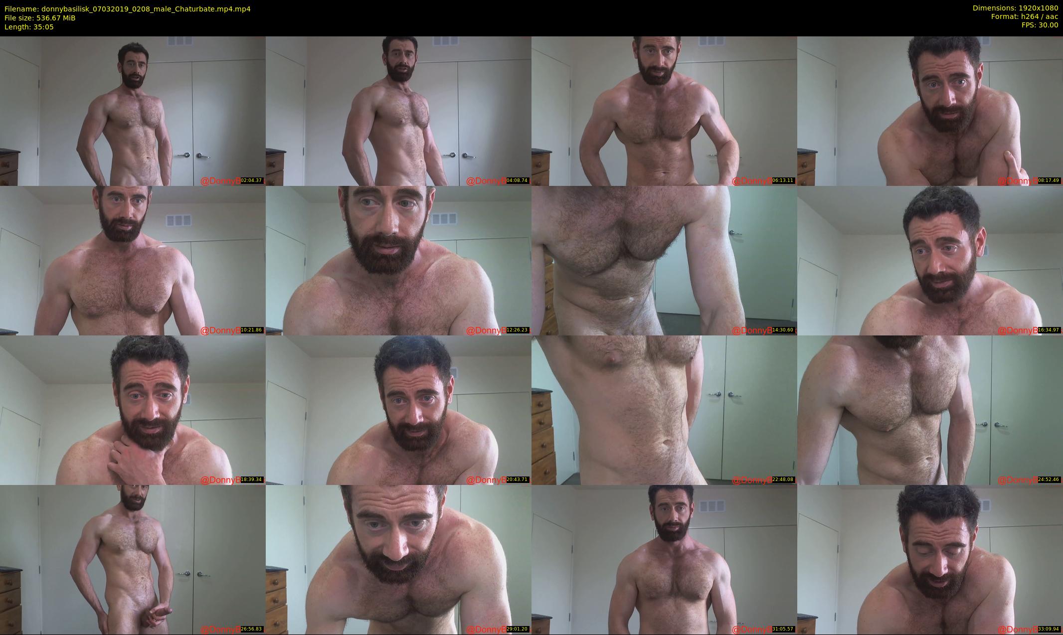donnybasilisk — 36 minute Chaturbate male cam show recording, 1080p, Mar 7, 2019