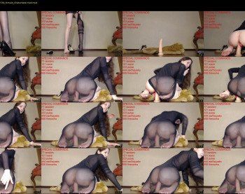 fuckingalice — 29 minute Chaturbate female cam show recording, 1080p, Mar 6, 2019
