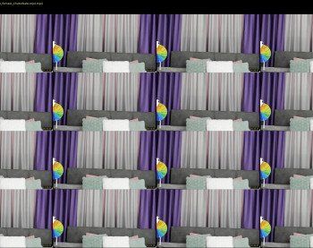 _nastya_ — 24 minute Chaturbate female cam show recording, 1080p, Mar 7, 2019