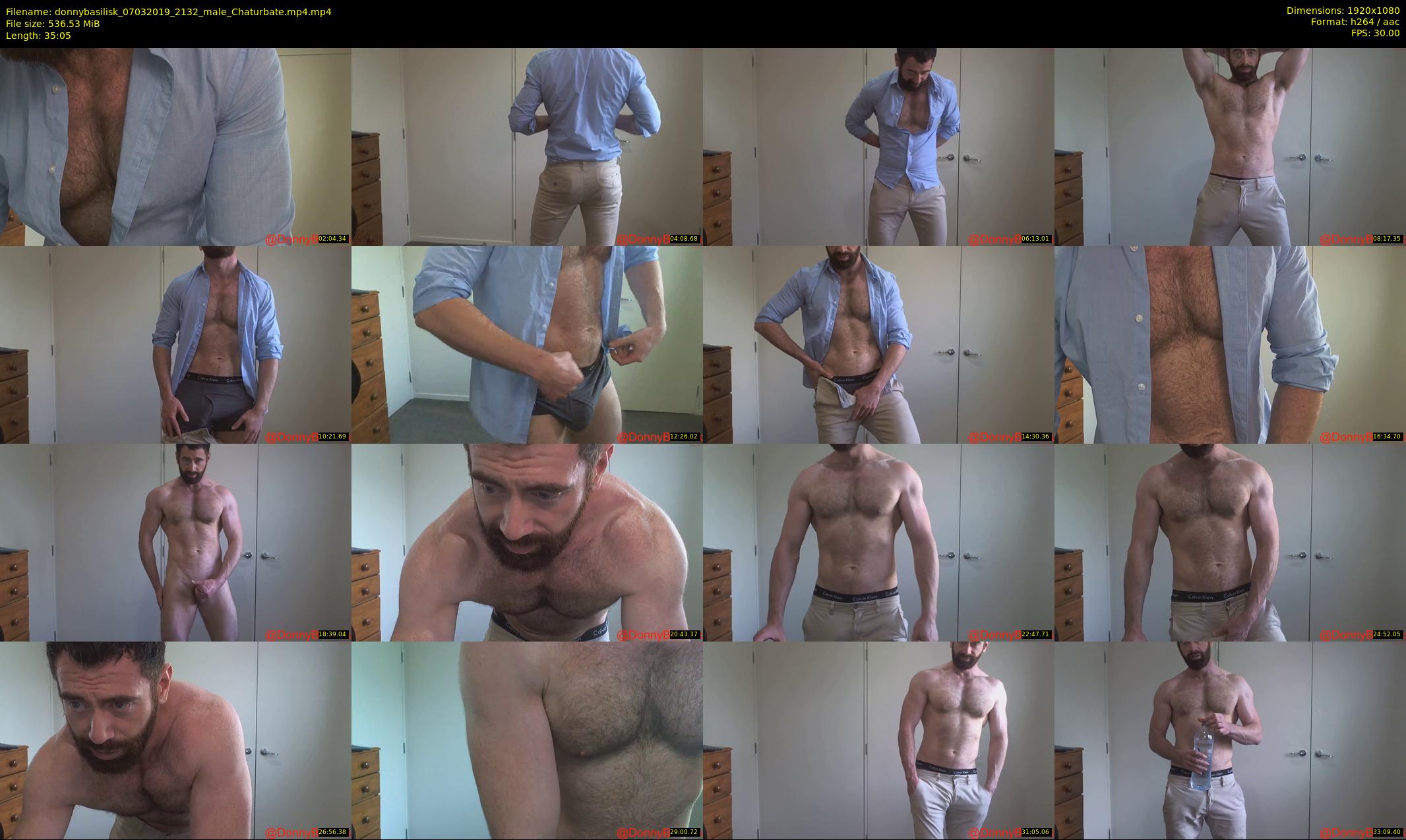 donnybasilisk — 36 minute Chaturbate male cam show recording, 1080p, Mar 7, 2019