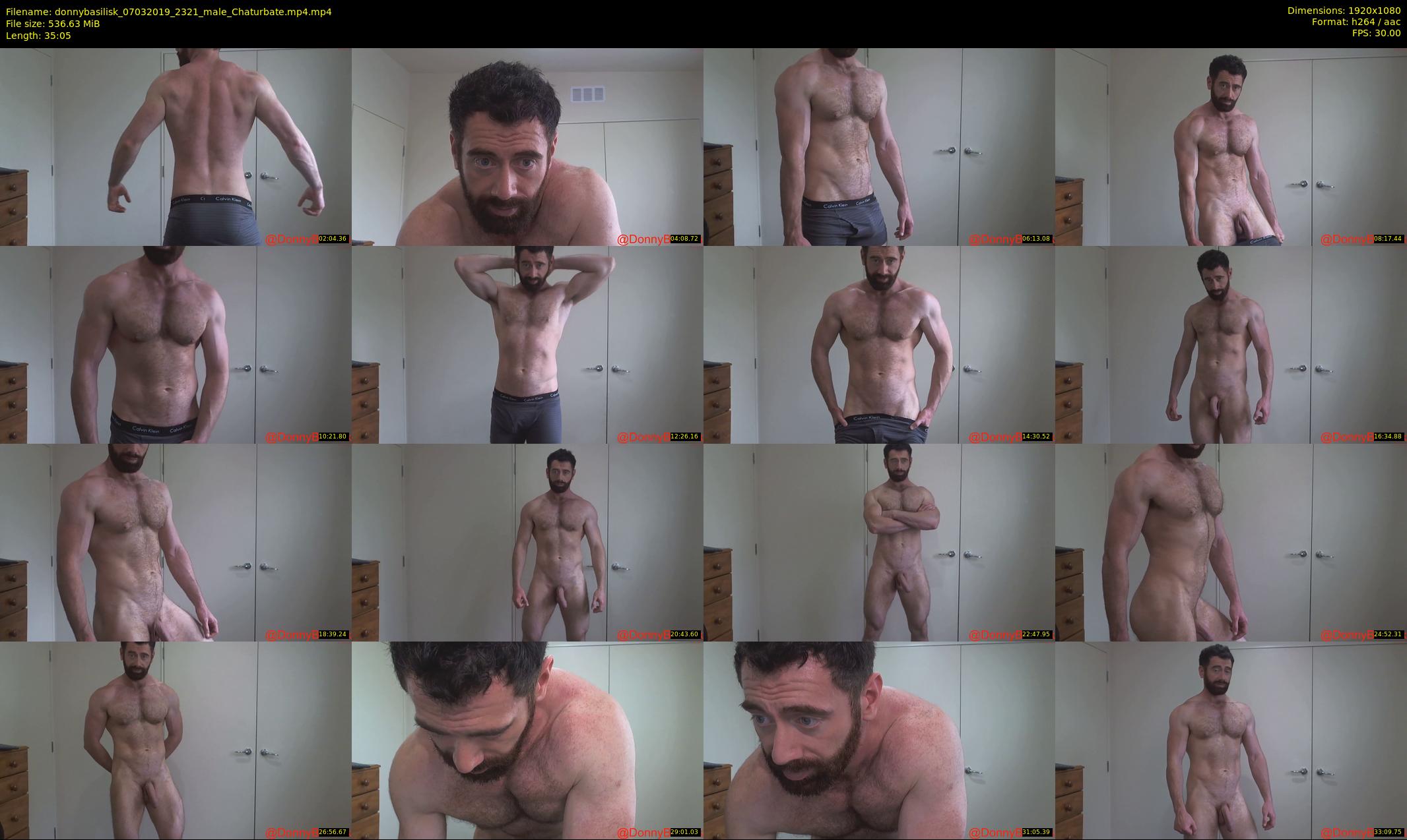 donnybasilisk — 36 minute Chaturbate male cam show recording, 1080p, Mar 7, 2019