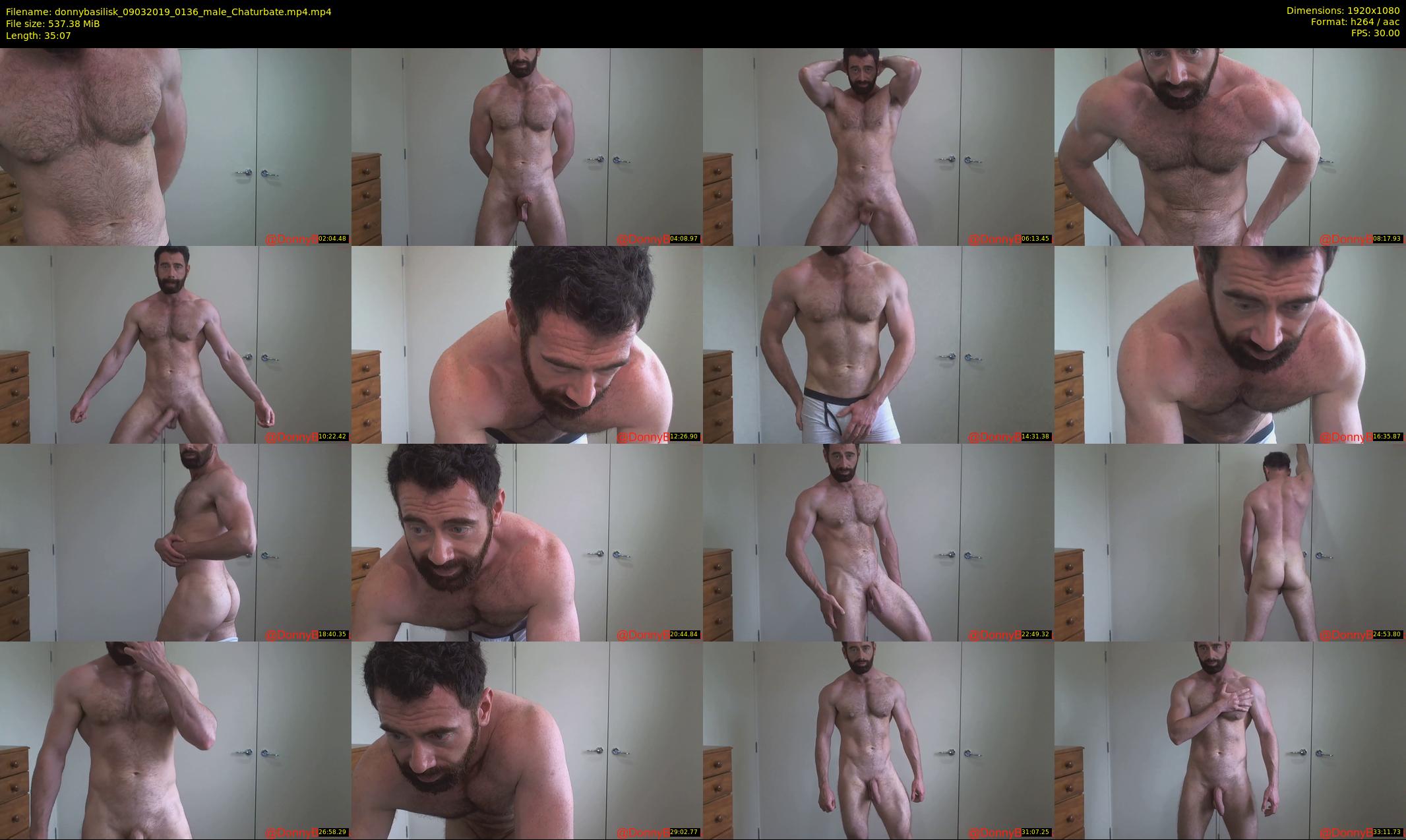 donnybasilisk — 36 minute Chaturbate male cam show recording, 1080p, Mar 9, 2019