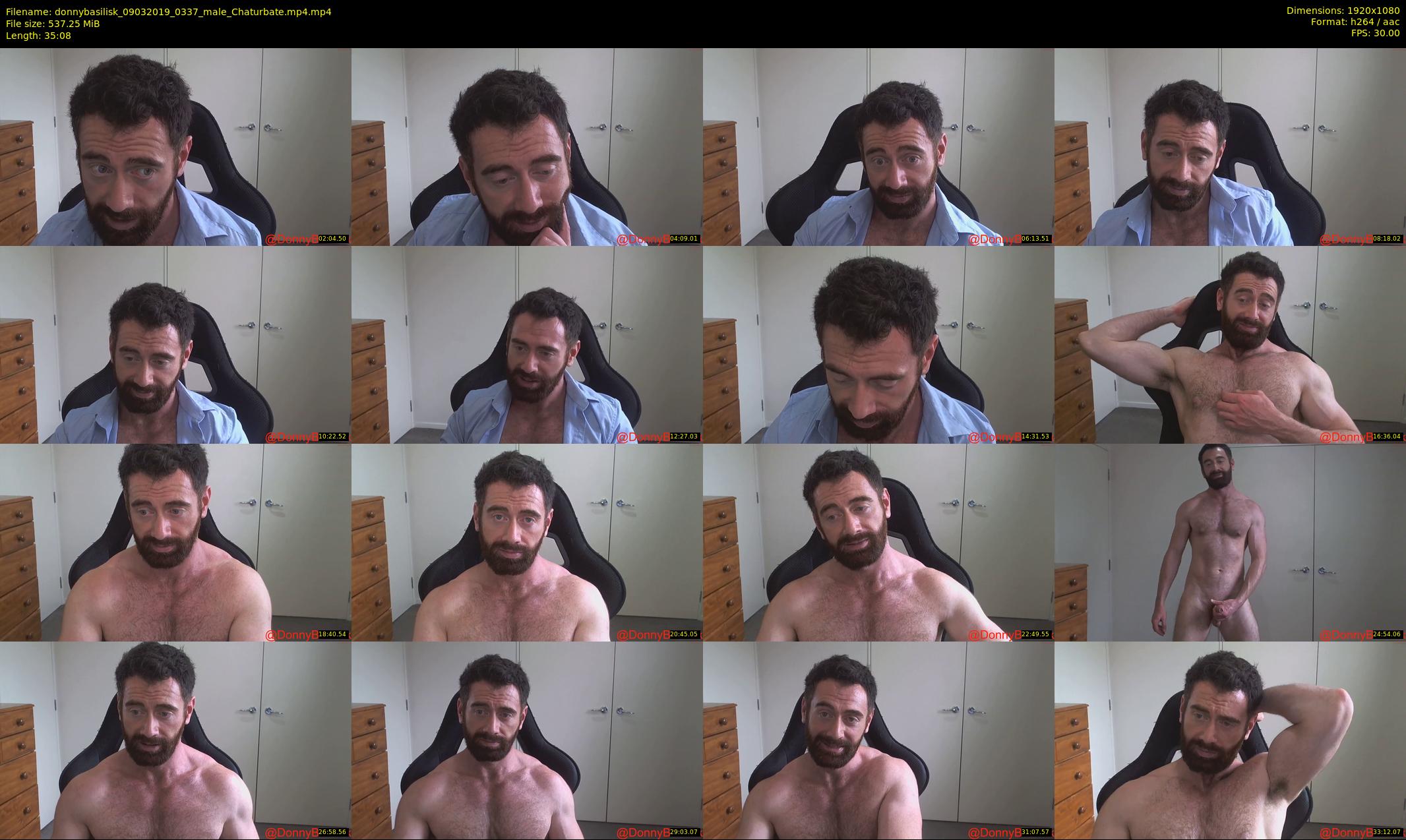 donnybasilisk — 36 minute Chaturbate male cam show recording, 1080p, Mar 9, 2019