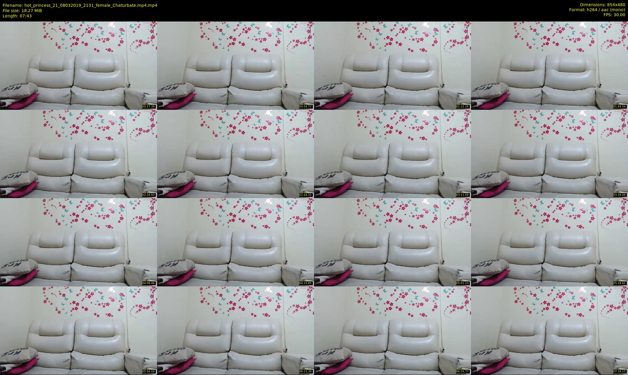 hot_princess_21 — 8 minute Chaturbate female cam show recording, 480p, Mar 8, 2019