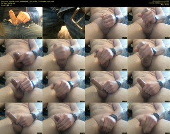 iowafarmcock — 22 minute Chaturbate male cam show recording, 480p, Mar 8, 2019