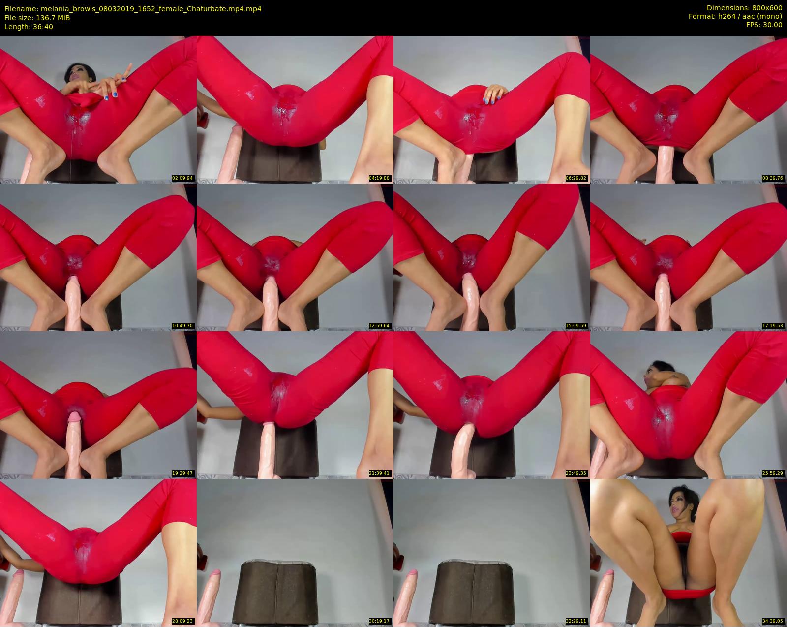 melania_browis — 37 minute Chaturbate female cam show recording, 480p, Mar 8, 2019