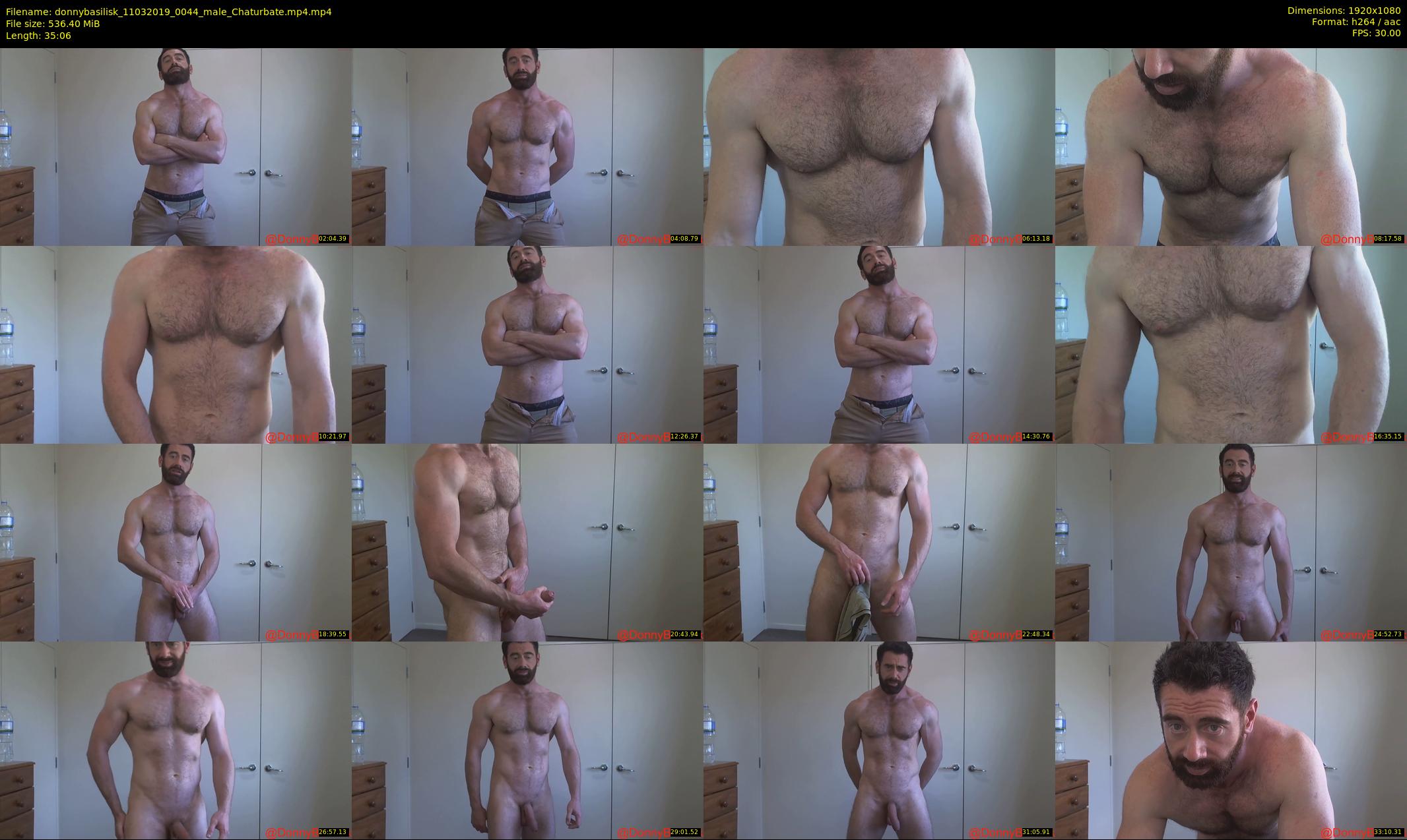 donnybasilisk — 36 minute Chaturbate male cam show recording, 1080p, Mar 11, 2019