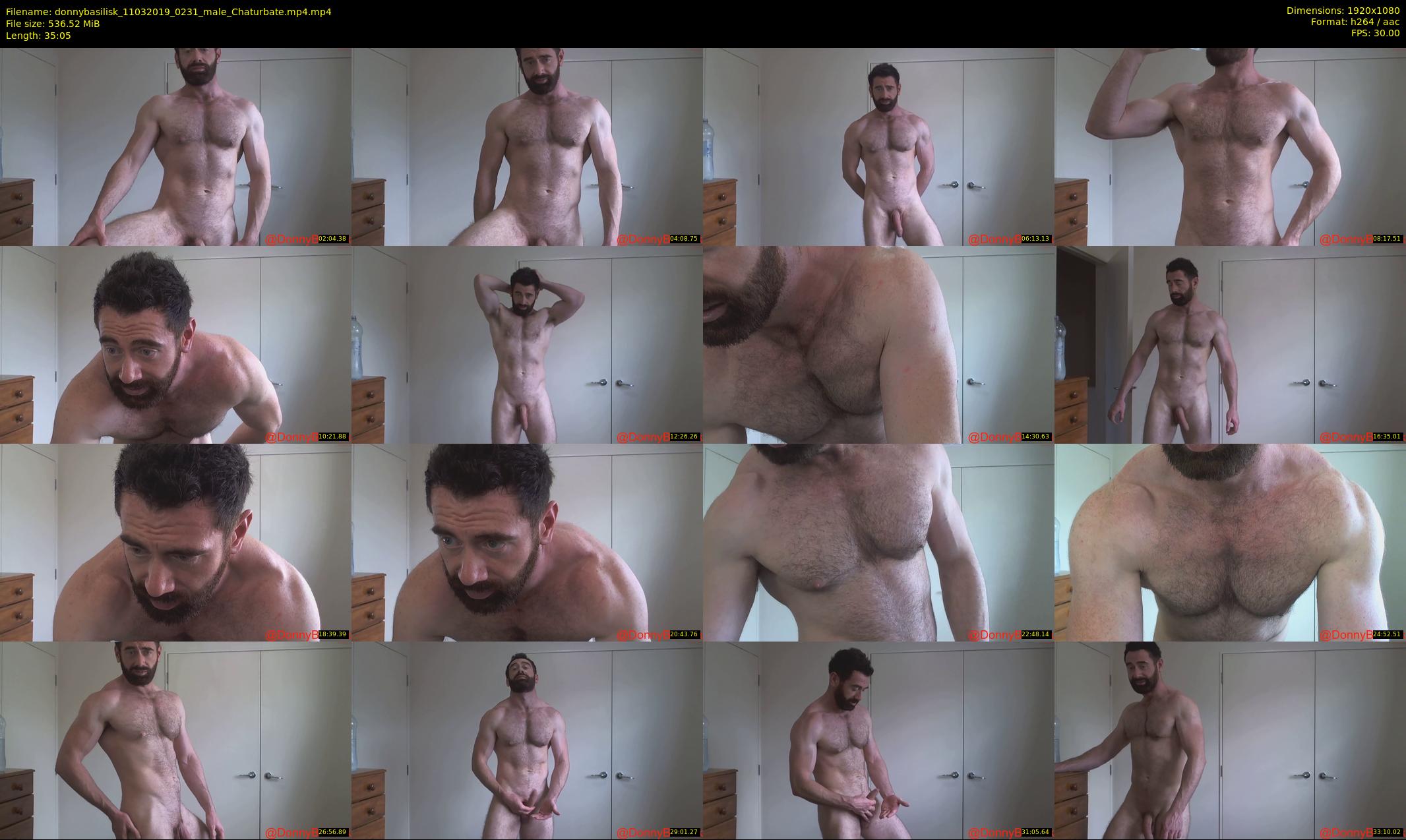 donnybasilisk — 36 minute Chaturbate male cam show recording, 1080p, Mar 11, 2019