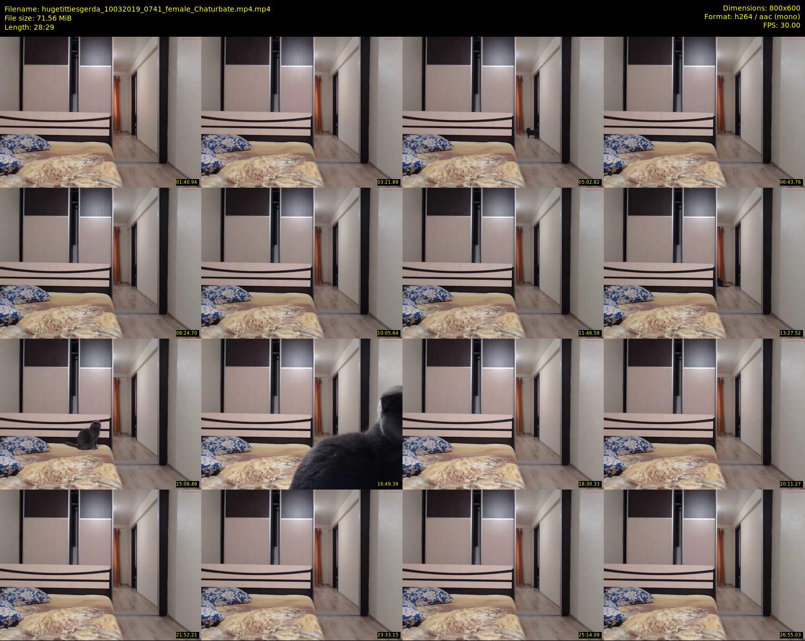 hugetittiesgerda — 29 minute Chaturbate female cam show recording, 480p, Mar 10, 2019