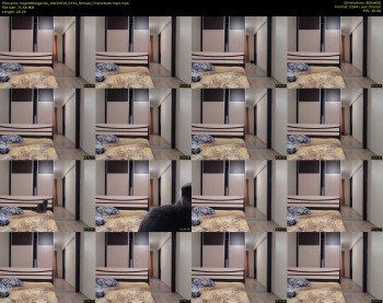 hugetittiesgerda — 29 minute Chaturbate female cam show recording, 480p, Mar 10, 2019