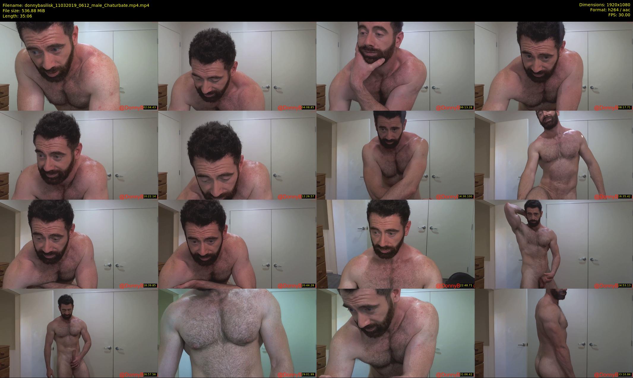 donnybasilisk — 36 minute Chaturbate male cam show recording, 1080p, Mar 11, 2019
