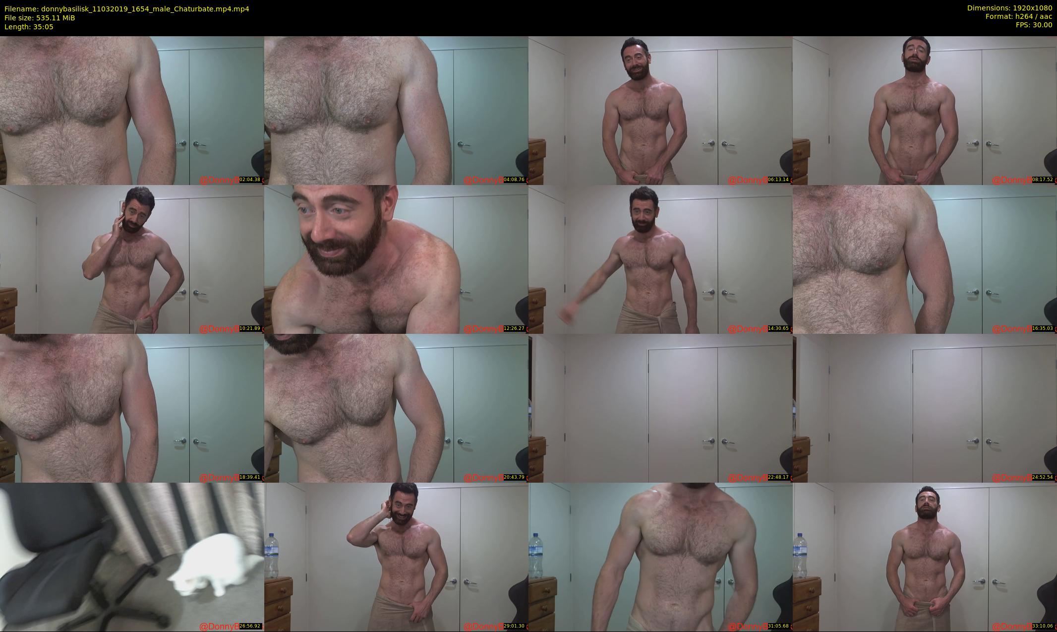 donnybasilisk — 36 minute Chaturbate male cam show recording, 1080p, Mar 11, 2019
