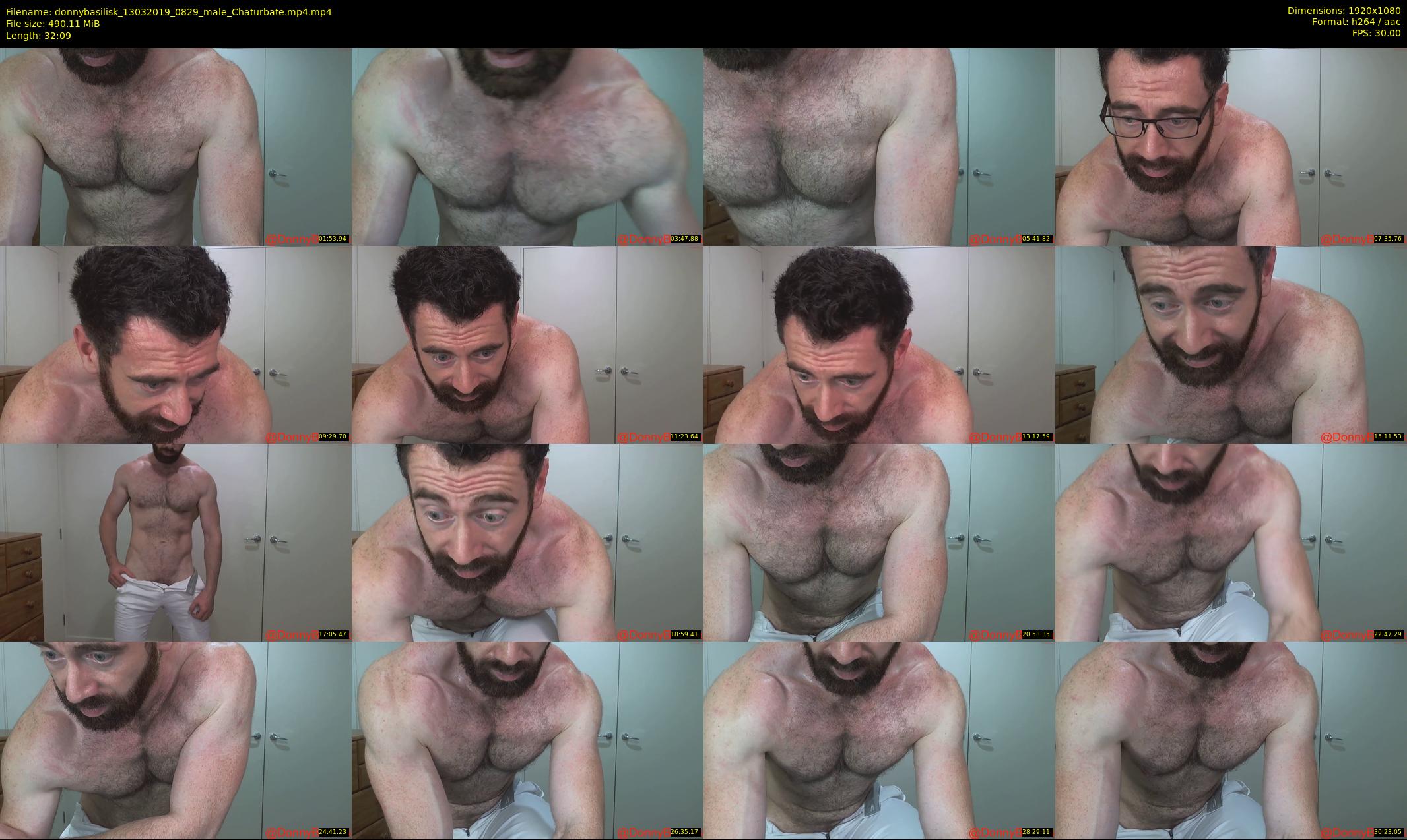 donnybasilisk — 33 minute Chaturbate male cam show recording, 1080p, Mar 13, 2019