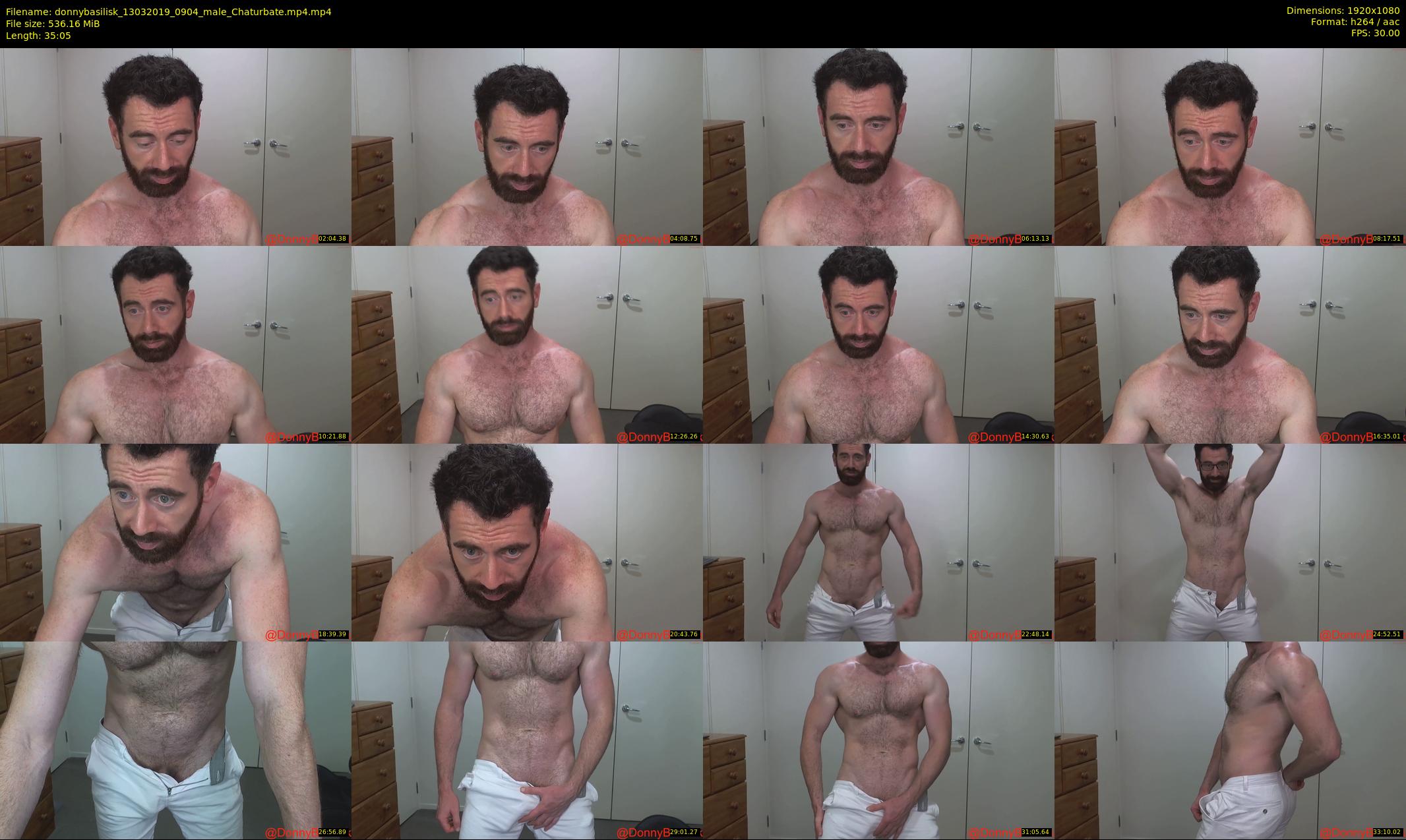 donnybasilisk — 36 minute Chaturbate male cam show recording, 1080p, Mar 13, 2019