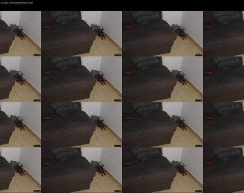 freakcpl — 38 minute Chaturbate couple cam show recording, 720p, Mar 14, 2019