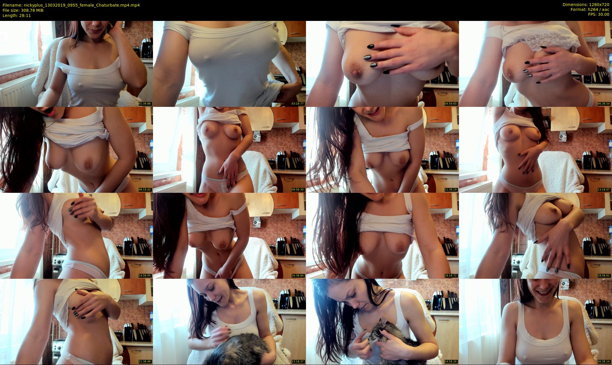 nickyplus — 29 minute Chaturbate couple cam show recording, 720p, Mar 13, 2019