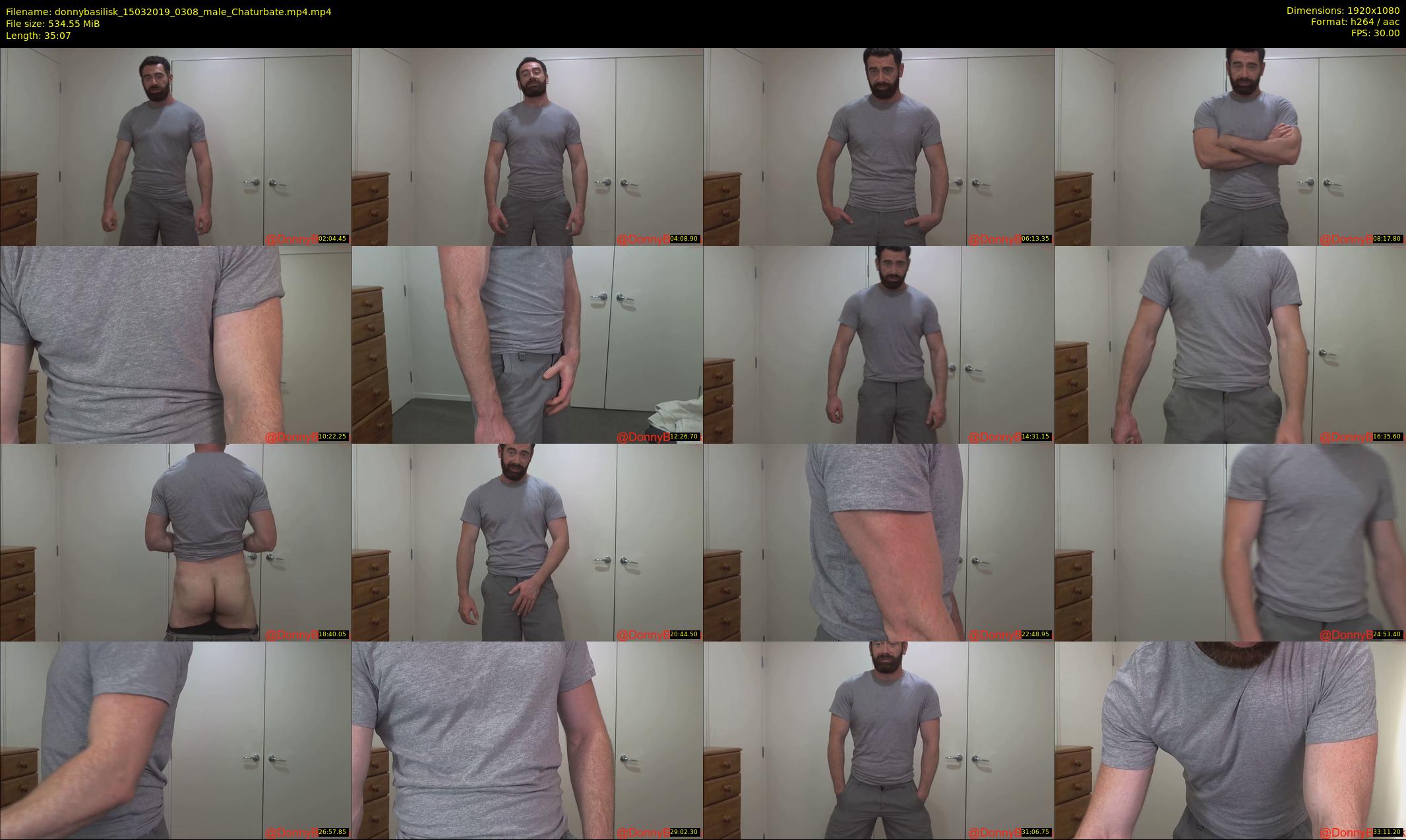 donnybasilisk — 36 minute Chaturbate male cam show recording, 1080p, Mar 15, 2019