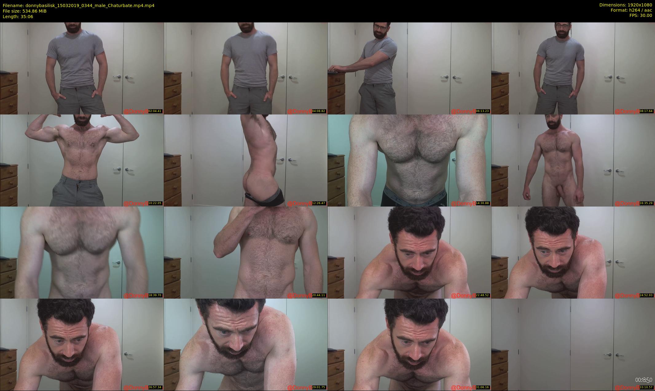 donnybasilisk — 36 minute Chaturbate male cam show recording, 1080p, Mar 15, 2019