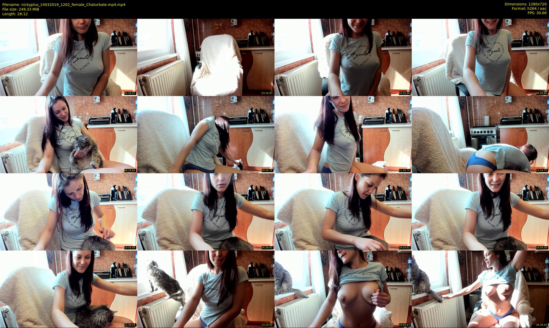 nickyplus — 29 minute Chaturbate couple cam show recording, 720p, Mar 14, 2019