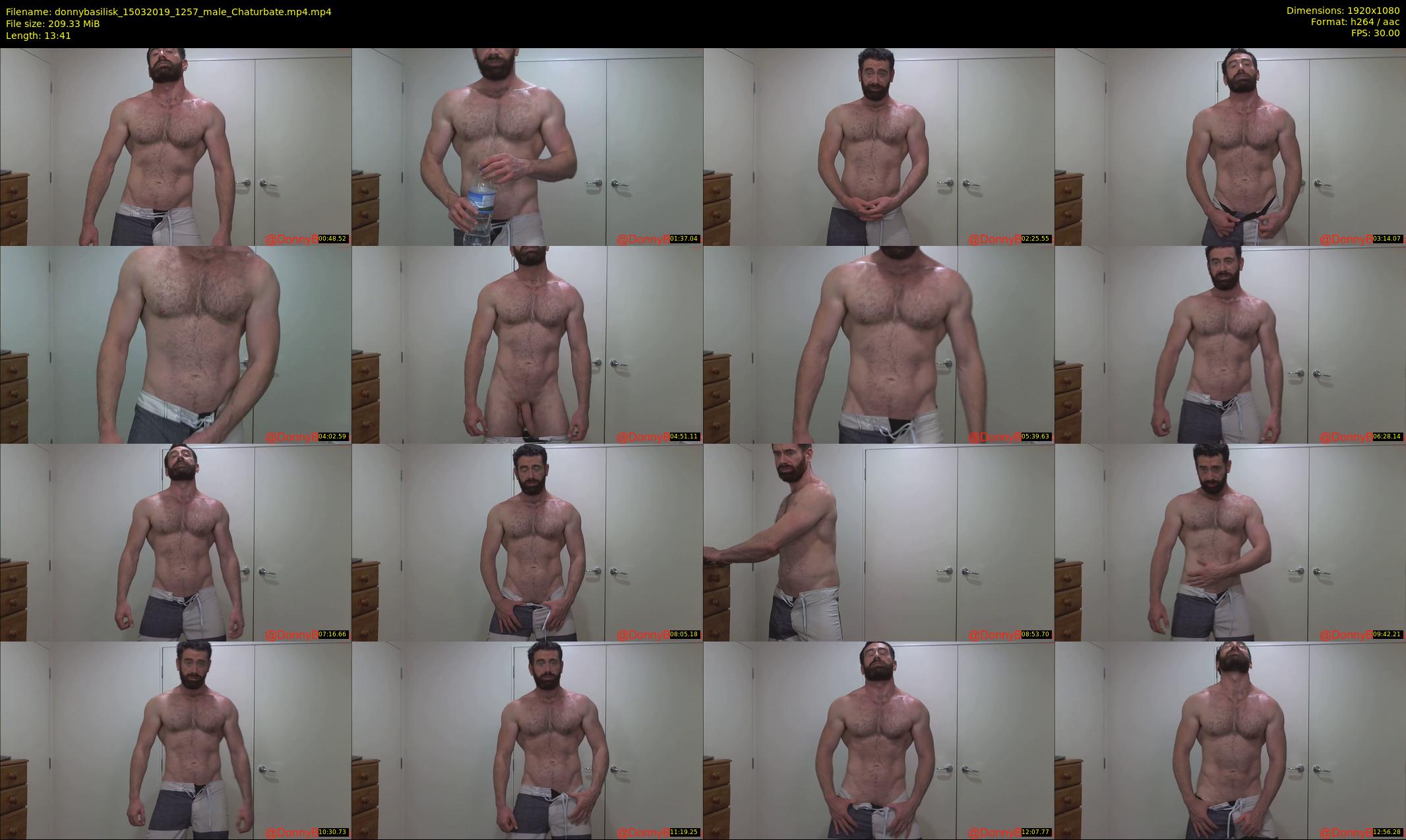 donnybasilisk — 14 minute Chaturbate male cam show recording, 1080p, Mar 15, 2019