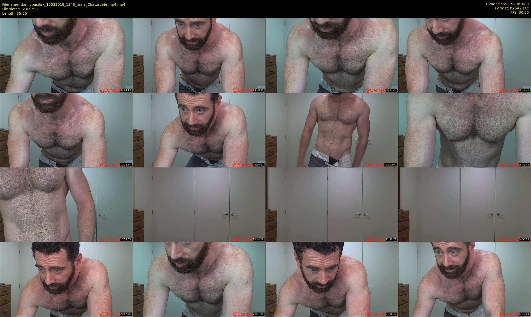 donnybasilisk — 36 minute Chaturbate male cam show recording, 1080p, Mar 15, 2019