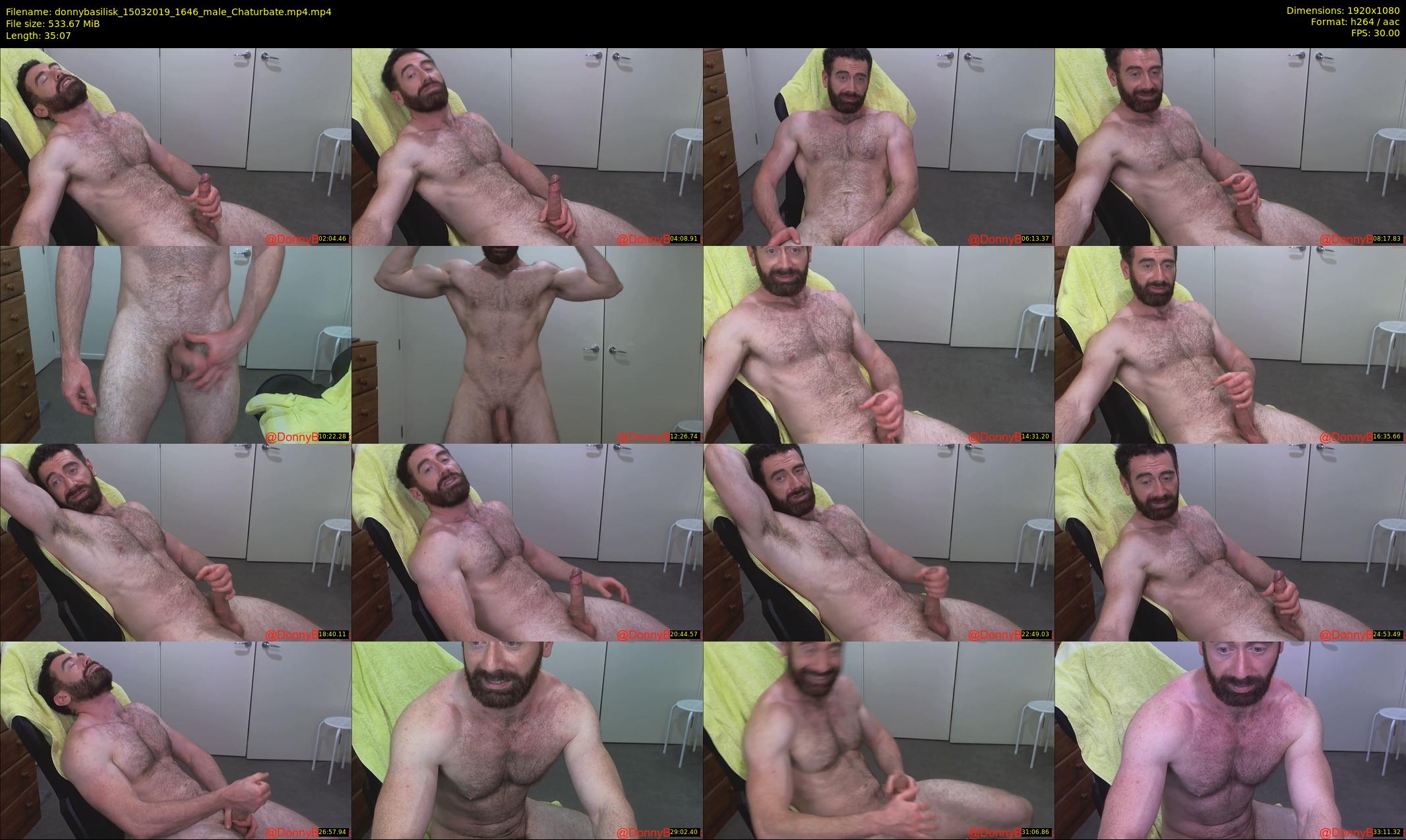 donnybasilisk — 36 minute Chaturbate male cam show recording, 1080p, Mar 15, 2019