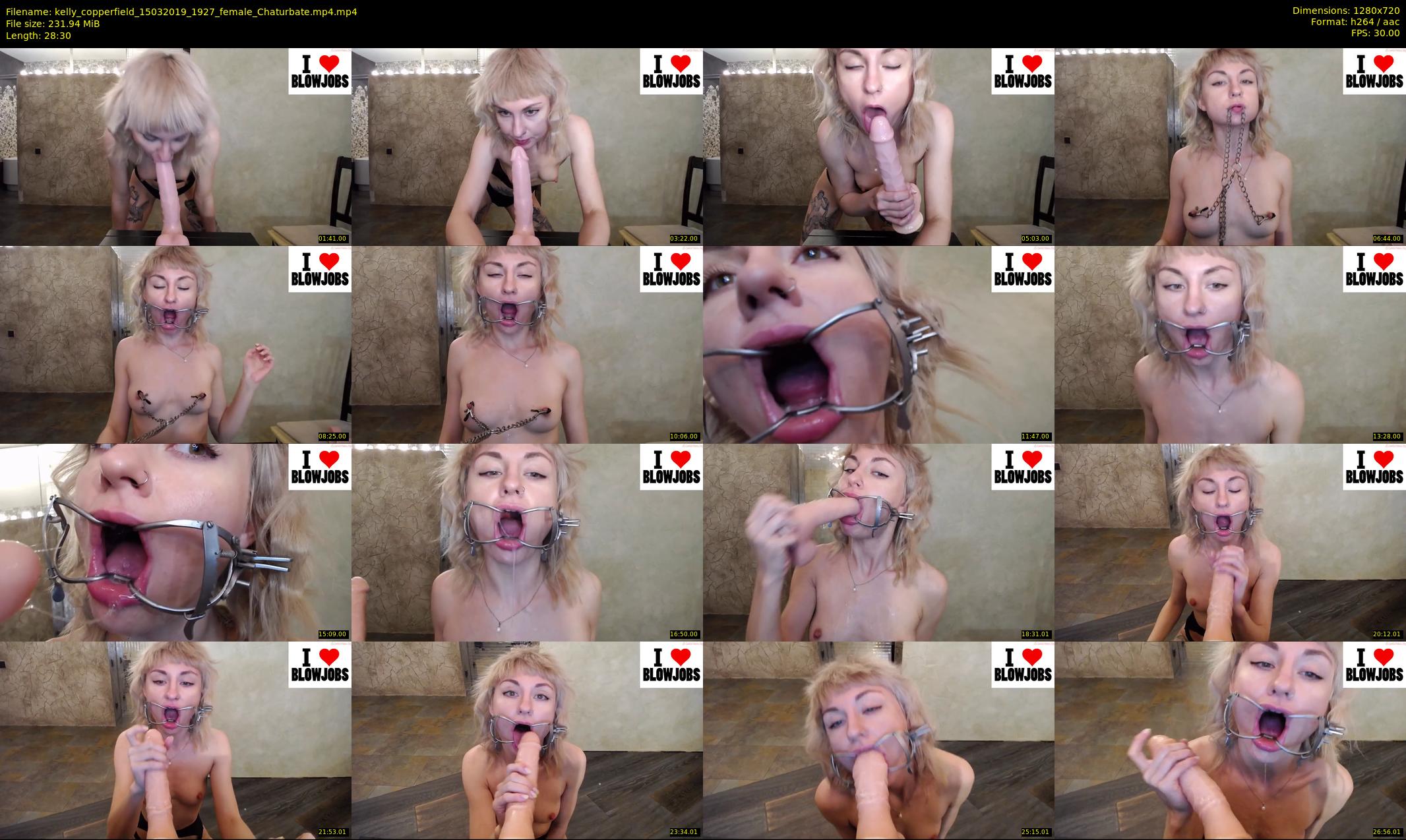 kelly_copperfield — 29 minute Chaturbate female cam show recording, 720p, Mar 15, 2019
