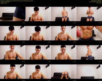 straigthguysfun — 23 minute Chaturbate male cam show recording, 480p, Mar 16, 2019