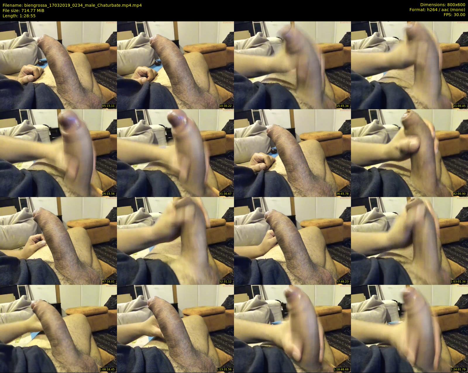 biengrossa — 89 minute Chaturbate male cam show recording, 480p, Mar 17, 2019