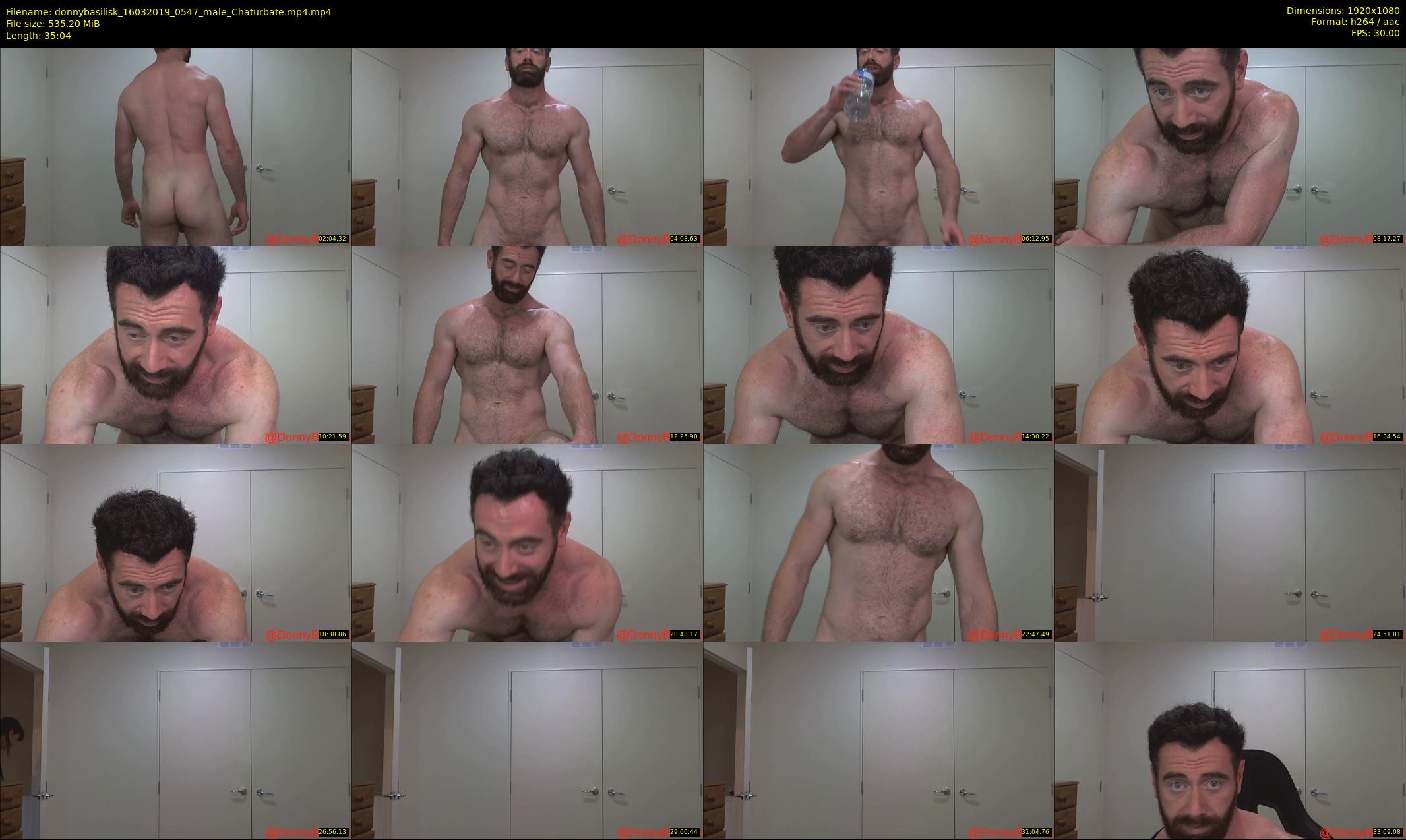 donnybasilisk — 36 minute Chaturbate male cam show recording, 1080p, Mar 16, 2019