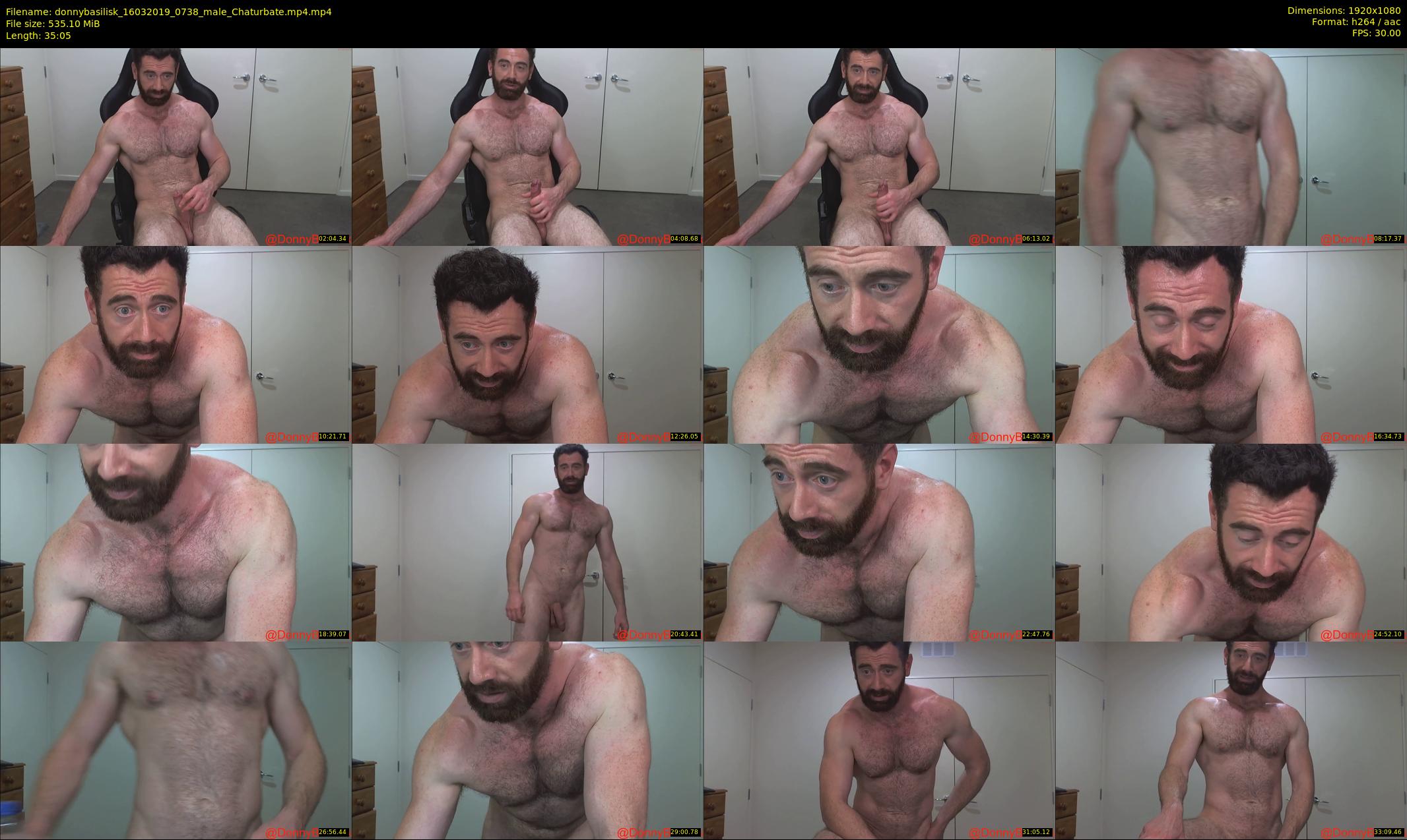 donnybasilisk — 36 minute Chaturbate male cam show recording, 1080p, Mar 16, 2019