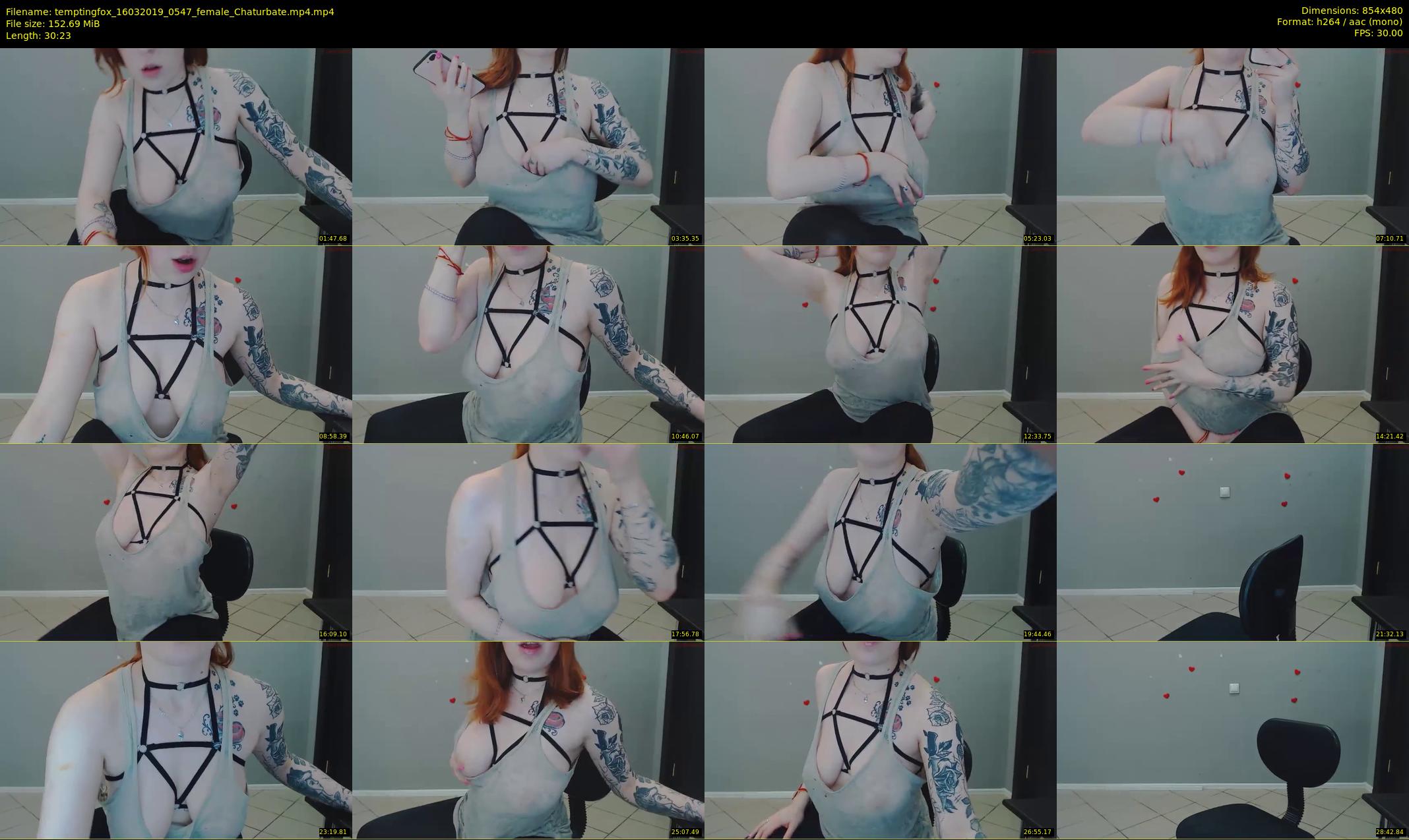 temptingfox — 31 minute Chaturbate female cam show recording, 480p, Mar 16, 2019