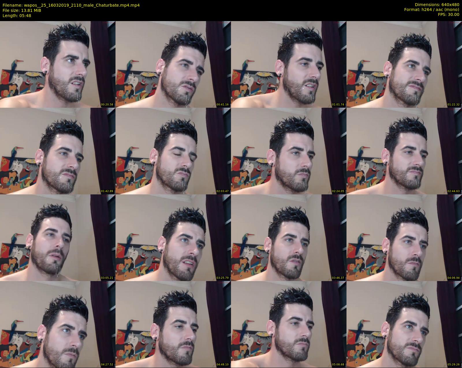 wapos__25 — 6 minute Chaturbate male cam show recording, 480p, Mar 16, 2019