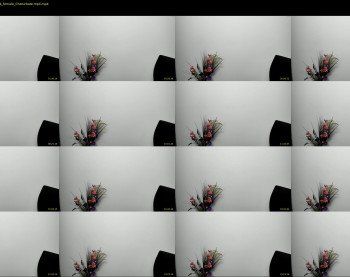 anya_fox — 29 minute Chaturbate female cam show recording, 1080p, Mar 17, 2019