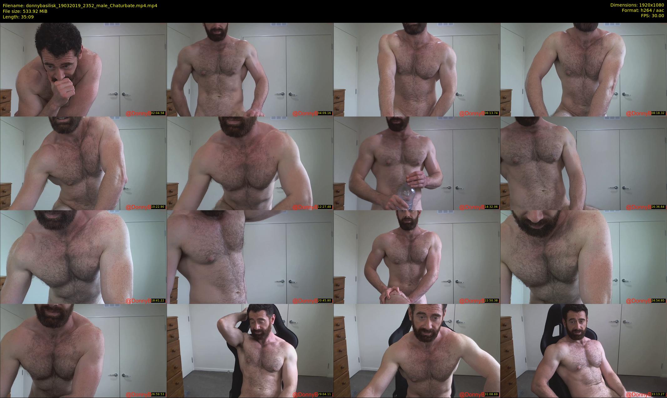 donnybasilisk — 36 minute Chaturbate male cam show recording, 1080p, Mar 19, 2019