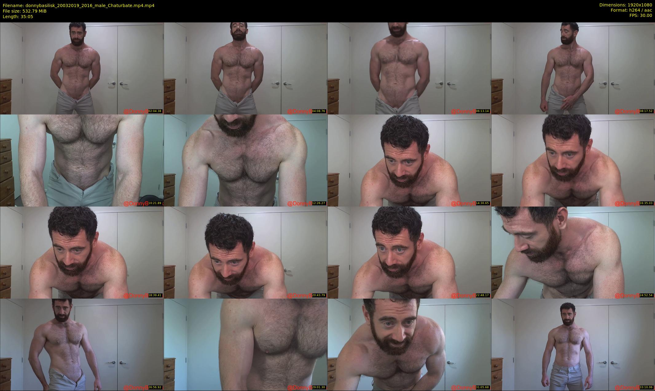 donnybasilisk — 36 minute Chaturbate male cam show recording, 1080p, Mar 20, 2019