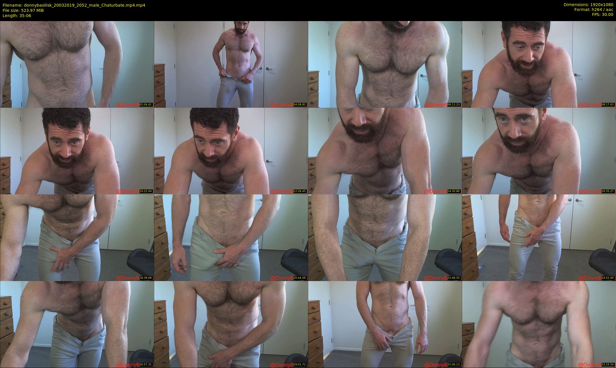 donnybasilisk — 36 minute Chaturbate male cam show recording, 1080p, Mar 20, 2019