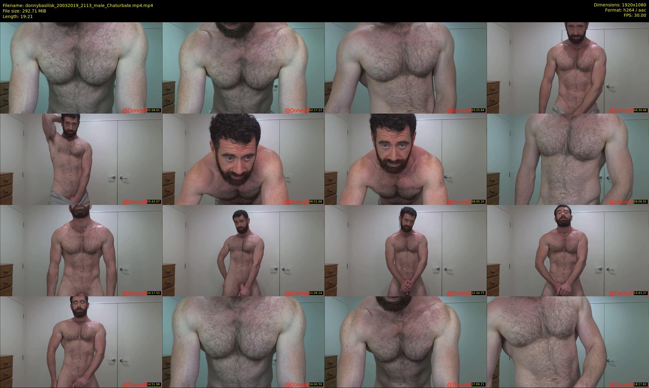 donnybasilisk — 20 minute Chaturbate male cam show recording, 1080p, Mar 20, 2019
