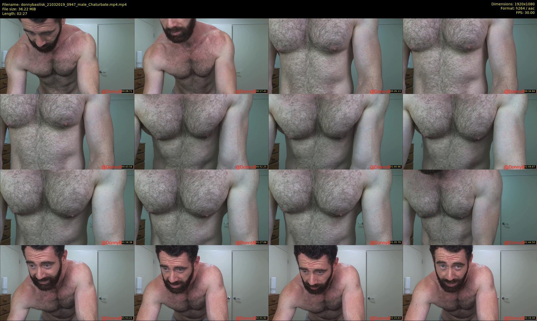 donnybasilisk — 3 minute Chaturbate male cam show recording, 1080p, Mar 21, 2019